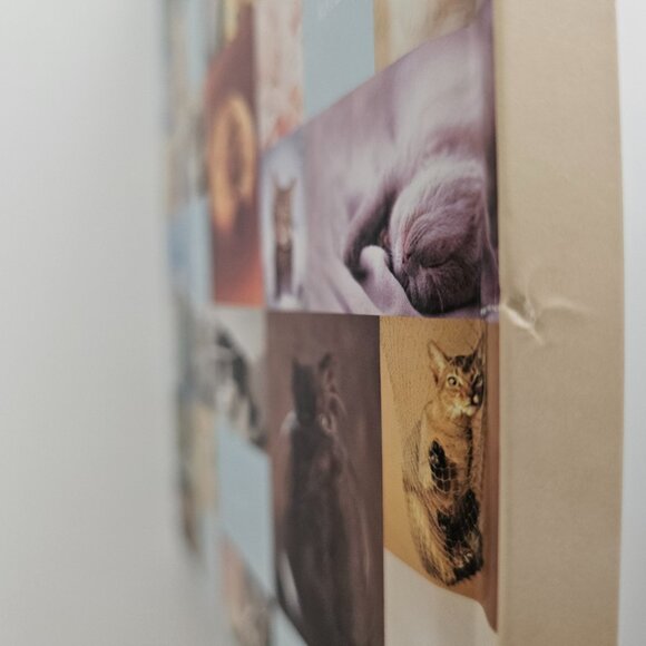 My Cat Record Book By Rachael Hale | Hardcover | NWT | Brown Red - Picture 13 of 16